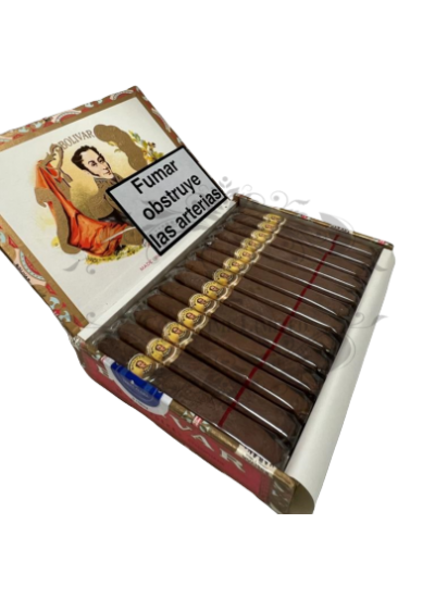 BOLIVAR BELVEDERES 2001