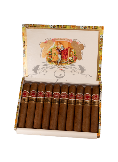 ROMEO Y JULIETA SHORT CHURCHILLS 