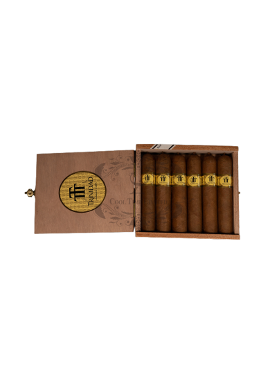 TRINIDAD VIGIA