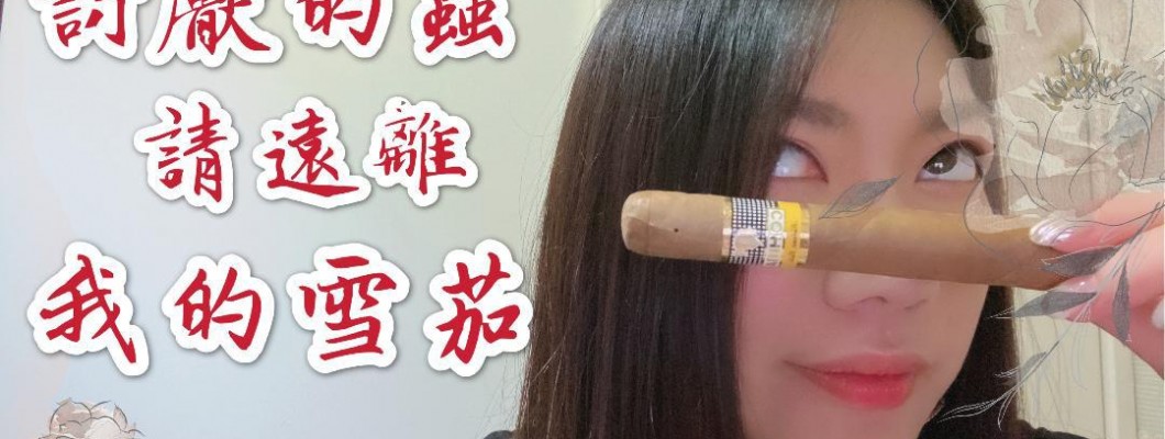 雪茄蟲蛀怎麼辦？