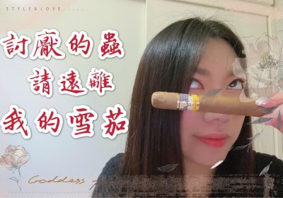 雪茄蟲蛀怎麼辦？